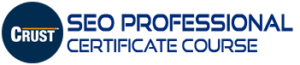 SEO Professional Courses